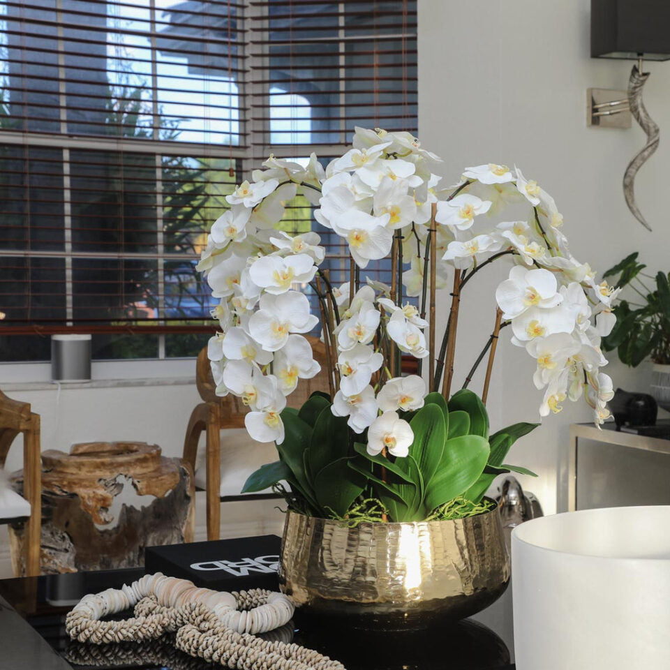 Orchidées Phalaenopsis Dans Un Cache‑Pot Doré