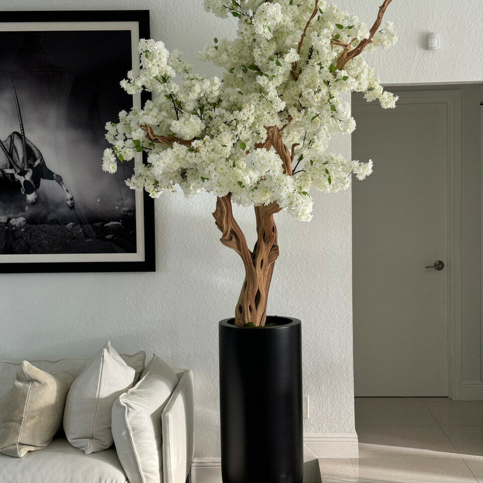 Cerisier Blanc Dans Un Cache‑Pot St. Tropez Noir Mat