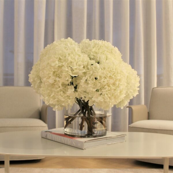 Bouquet D’Hortensias Blancs Dans Un Cylindre En Verre Clair