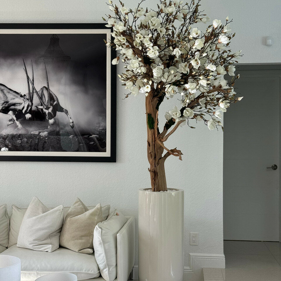 Magnolia Dans Un Cache‑Pot St. Tropez Beige Laqué