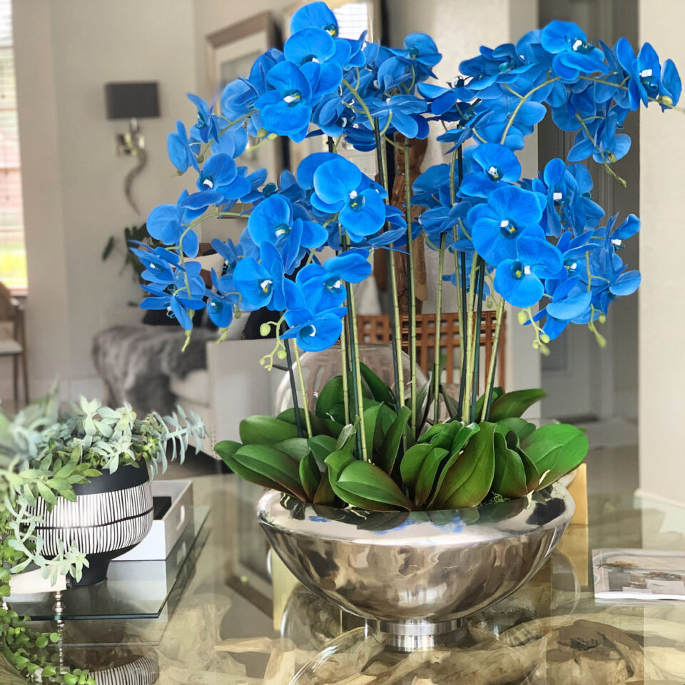 Orchidées Phalaenopsis Bleues Dans Un Bol Avenue Argenté