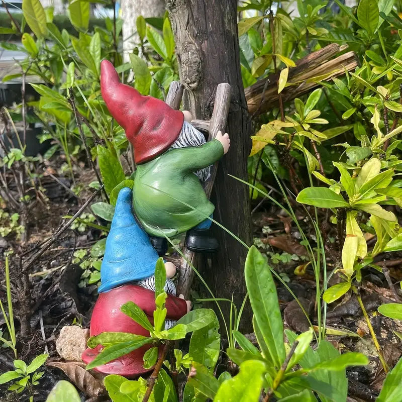 Gnome Grimpeur En Résine