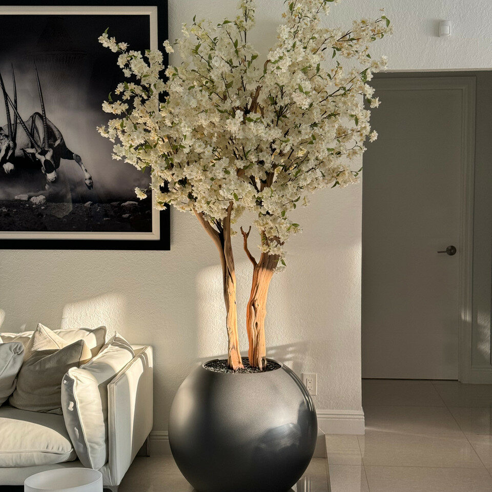 Cerisier Blanc Dans Un Globe Gunmetal Mat