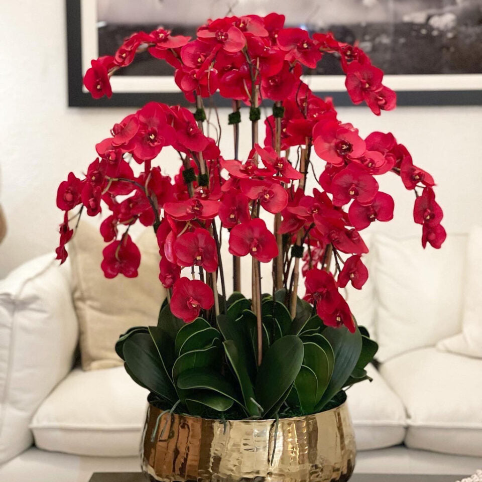 Orchidées Phalaenopsis Rouges Dans Un Cache‑Pot Doré Moyen