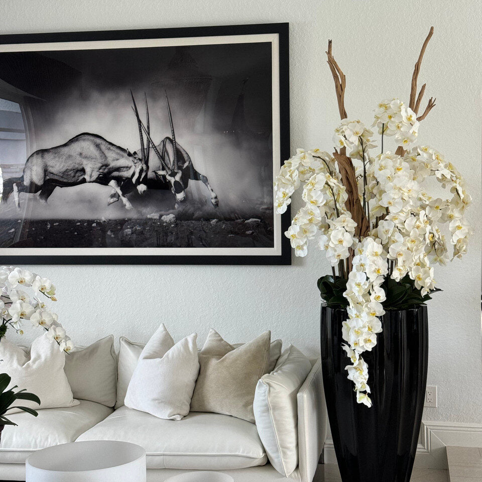 Orchidées Blanches Cascadantes Dans Un Cache‑Pot San Jose Noir Laqué