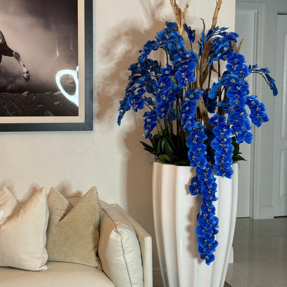 Orchidées Bleues Cascadantes Dans Un Cache‑Pot San Jose Blanc