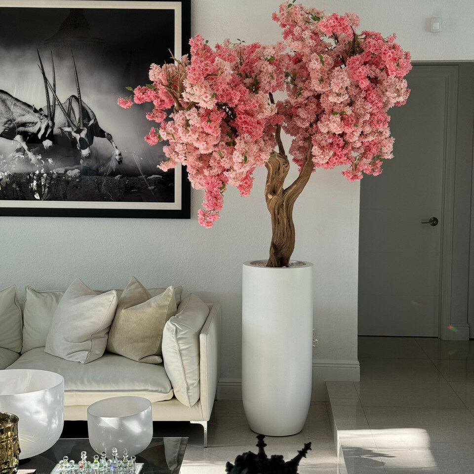 Cerisier Rose Dans Un Cache‑Pot St. Tropez Blanc Mat