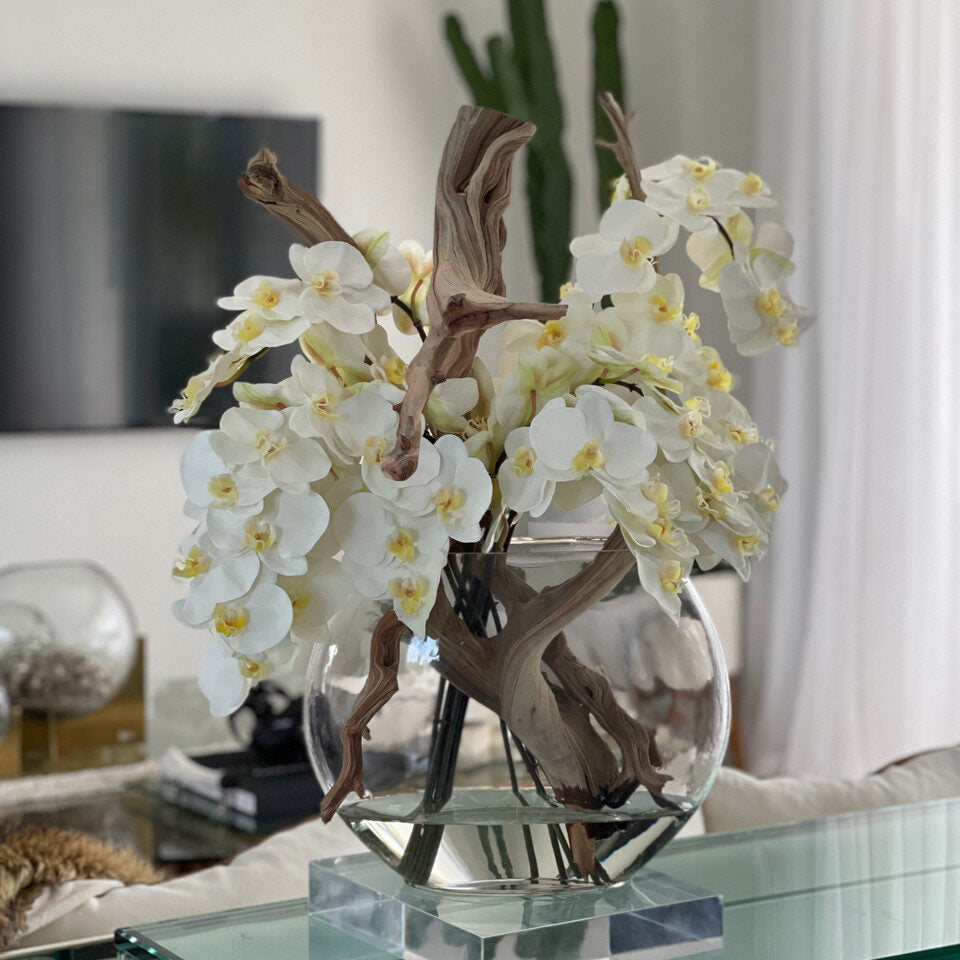 Orchidées Blanches Dans Un Vase Lune