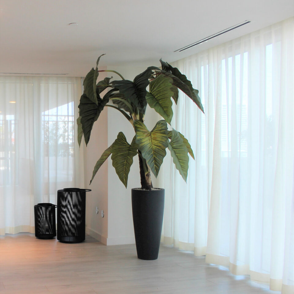 Alocasia Red Prince Dans Un Cache‑Pot Ashton Noir