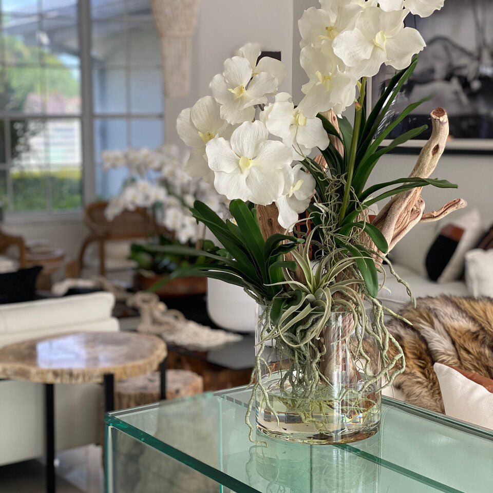 Orchidées Vanda Et Bois Flotté Dans Un Cylindre En Verre