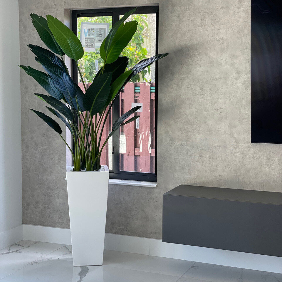 Strelitzia  Dans Un Cache‑Pot Beau Blanc Laqué