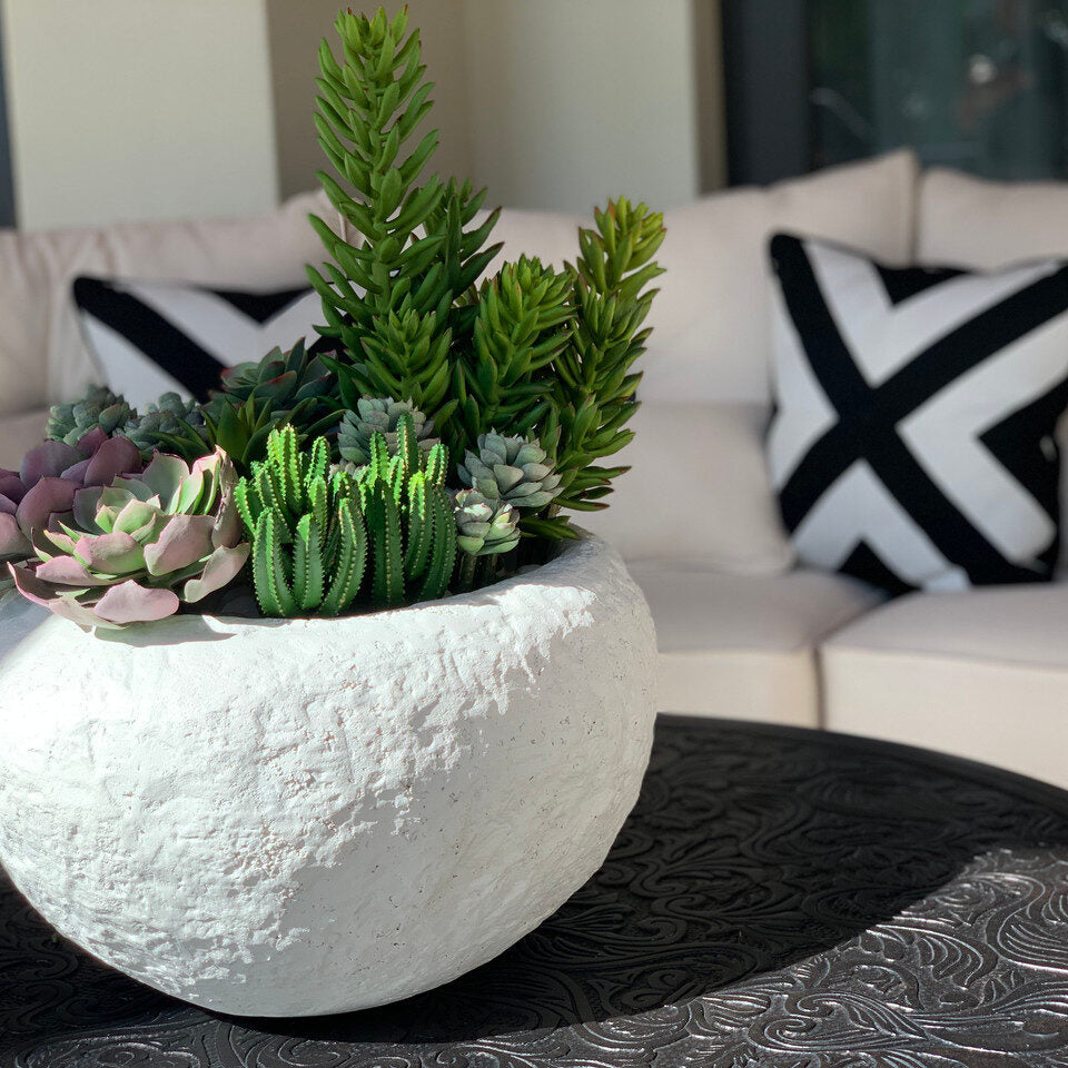 Bol Tahiti Avec Succulentes Mixtes