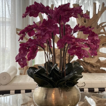 Orchidées Phalaenopsis Roses Dans Un Bol Bowie Doré