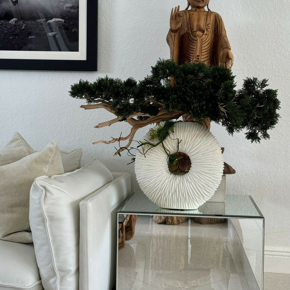 Bonsaï Traînant Et Bois Flotté Dans Un Vase Éternité Beige Mat Moyen