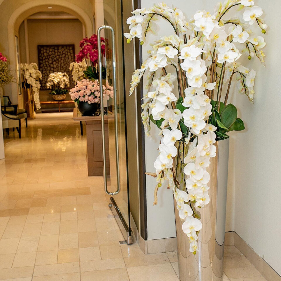 Orchidées Phalaenopsis Cascadantes Dans Un Cône Évasé En Inox Poli