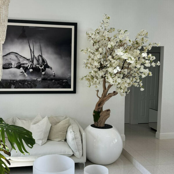 Cerisier Blanc Dans Un Vase Sphérique Laqué