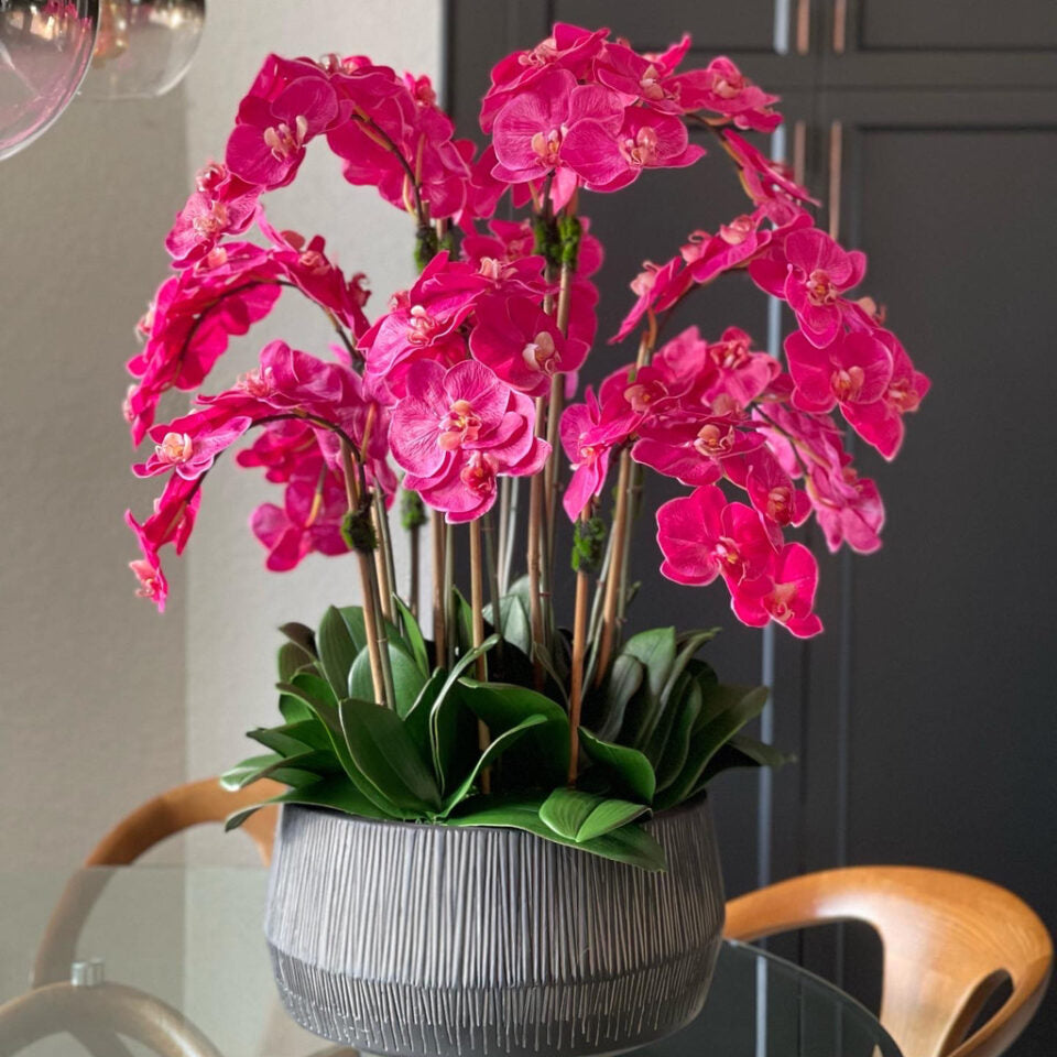 Bol Java Noir Avec Orchidées Phalaenopsis Roses