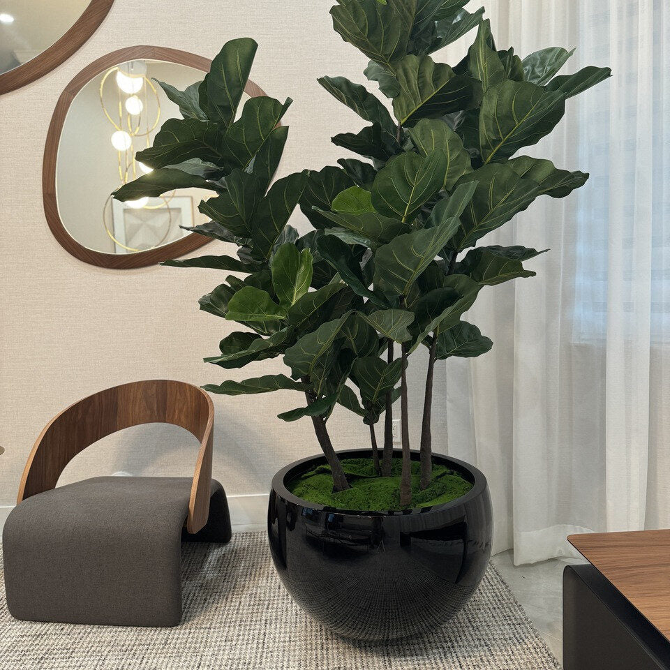 Figuier Lyrata Dans Un Cache‑Pot Terragona Noir