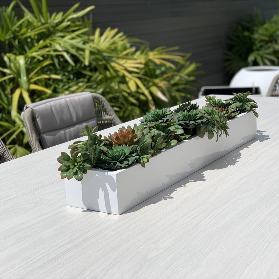 Succulentes Dans Un Cache‑Pot Balcon