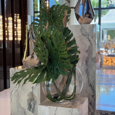Monstera Et Bois Flotté Dans Un Vase Lune