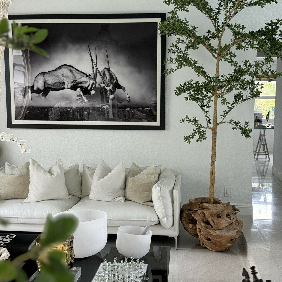 Arbre Lady Shady 274 cm Dans Un Cache‑Pot Teck Sculpté