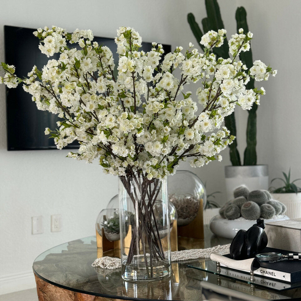 Fleurs De Cerisier Blanc Dans Un Cylindre En Verre